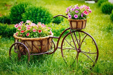 Creating Your Own Urban Oasis in Maine