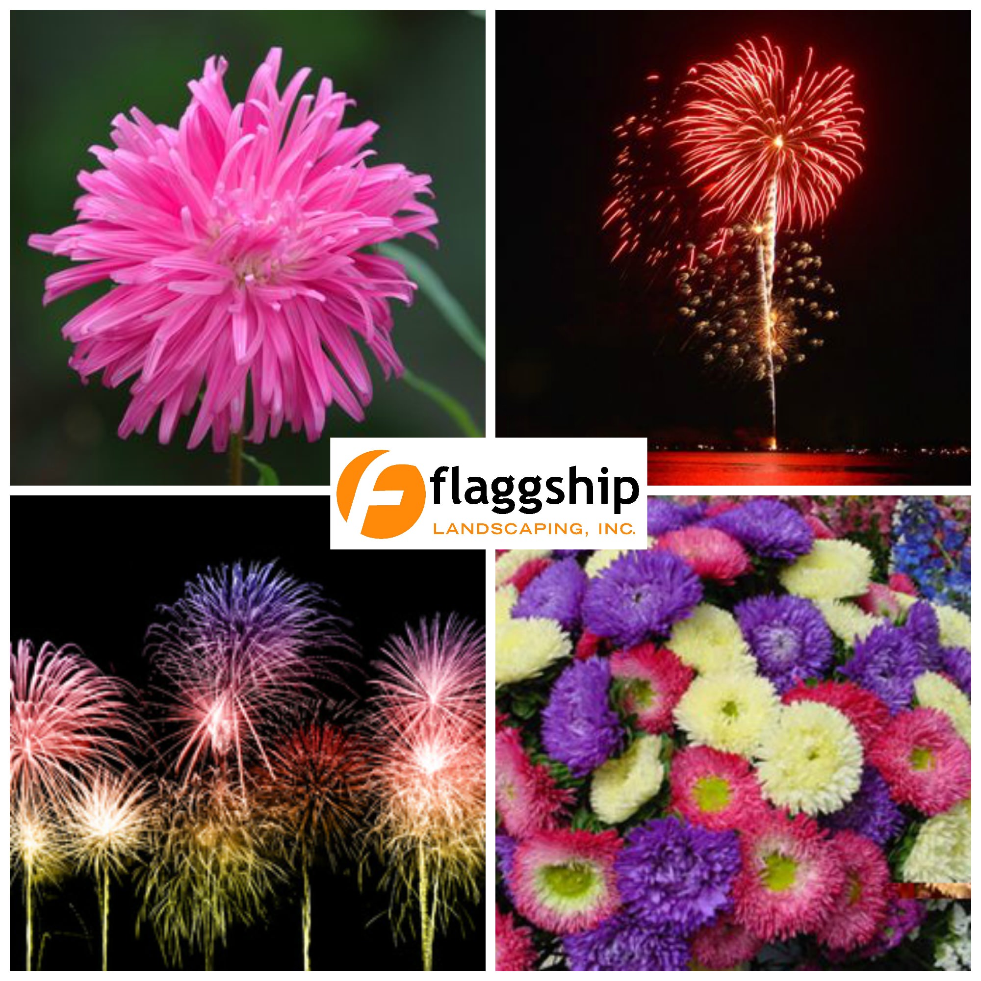Fireworks, Flowers and Flaggship Landscaping!