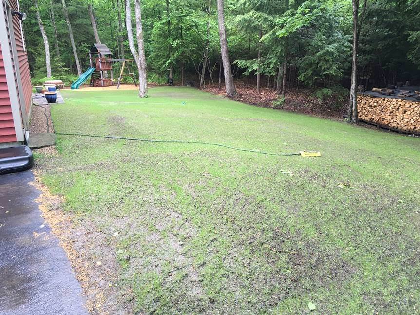 hydroseeding results in maine