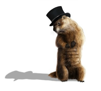 February Company Update