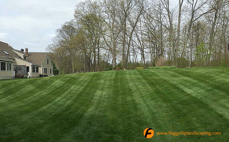 Beautifully Maintained Lawn Maine